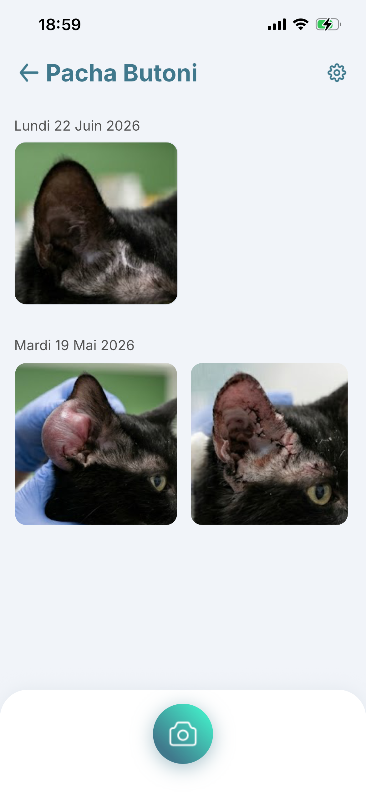 Historique des photos d'un patient dans ZoomVet